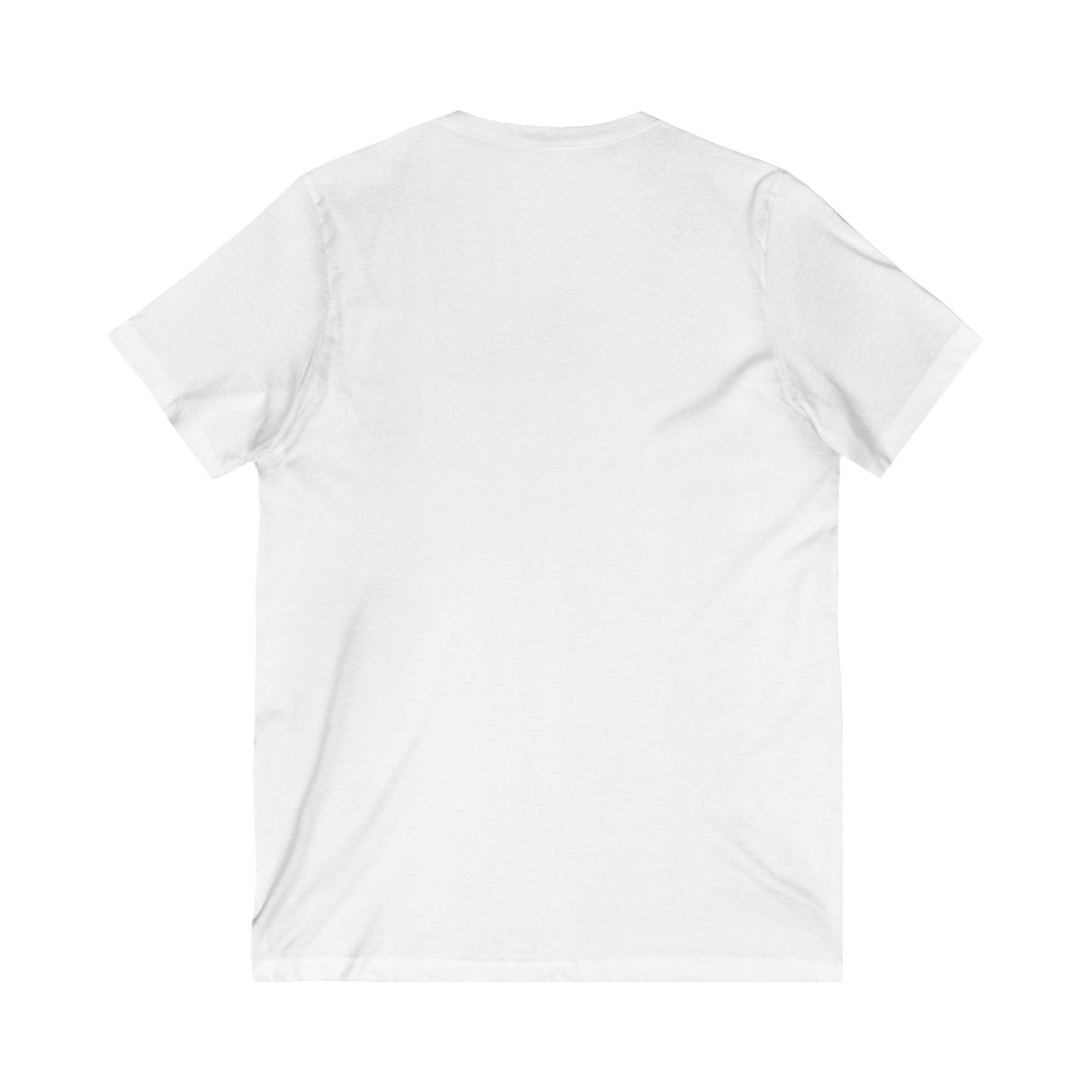 We Prefer Our Leaders Without A Criminal Record | Humorous Political V-Neck Tee