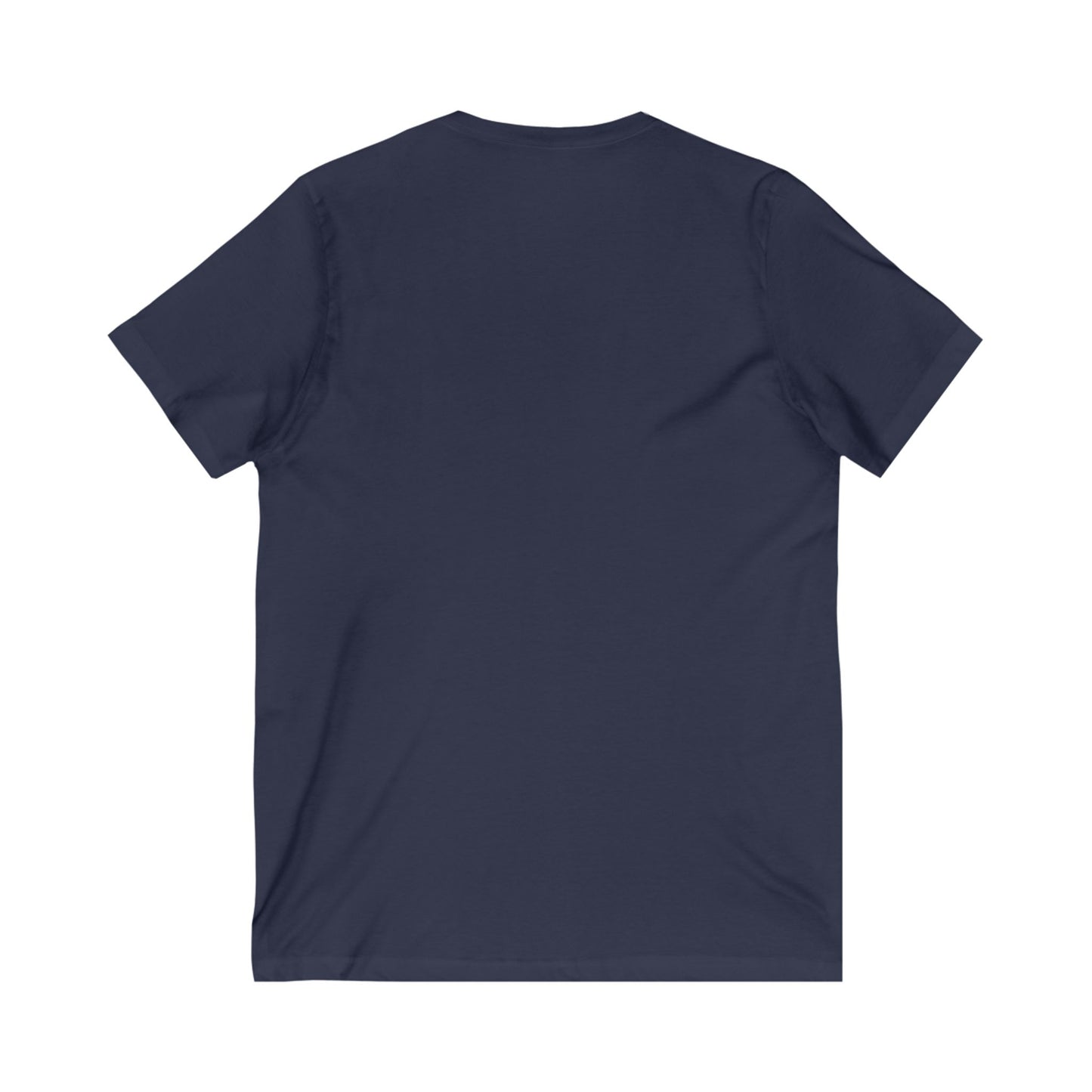 We Prefer Our Leaders Without A Criminal Record | Humorous Political V-Neck Tee